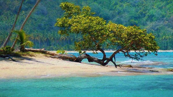 El Catey/Samana